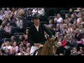 Guerdat greatness! 👏 | Longines FEI Jumping World Cup™ Longines FEI Jumping World Cup™ Helsinki 26