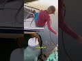 penampakan lumba lumba albino #shortvideo #shortsviral #shorts
