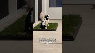 Morning people vs. non-morning people