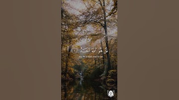 #تلاوة من #سورة_الإخلاص بصوت #ماهر_المعيقلي #قرآن #قرآن_كريم #آيات #استغفرالله #الحمدلله #quran