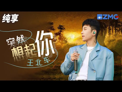 情不自禁跟着唱！王北车《突然想起你》太好听！ 纯享 | ZJSTV #Music #live