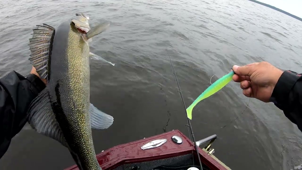 Трофейная рыбалка в Карелии 2025. Наловил огромных щук.