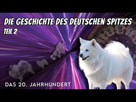 The history of the German Spitz breed in the 20th century