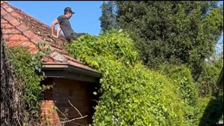 Download Lagu The Yard hasn’t been cleaned for YEARS! It took over the house. Time to clean it up.  MP3