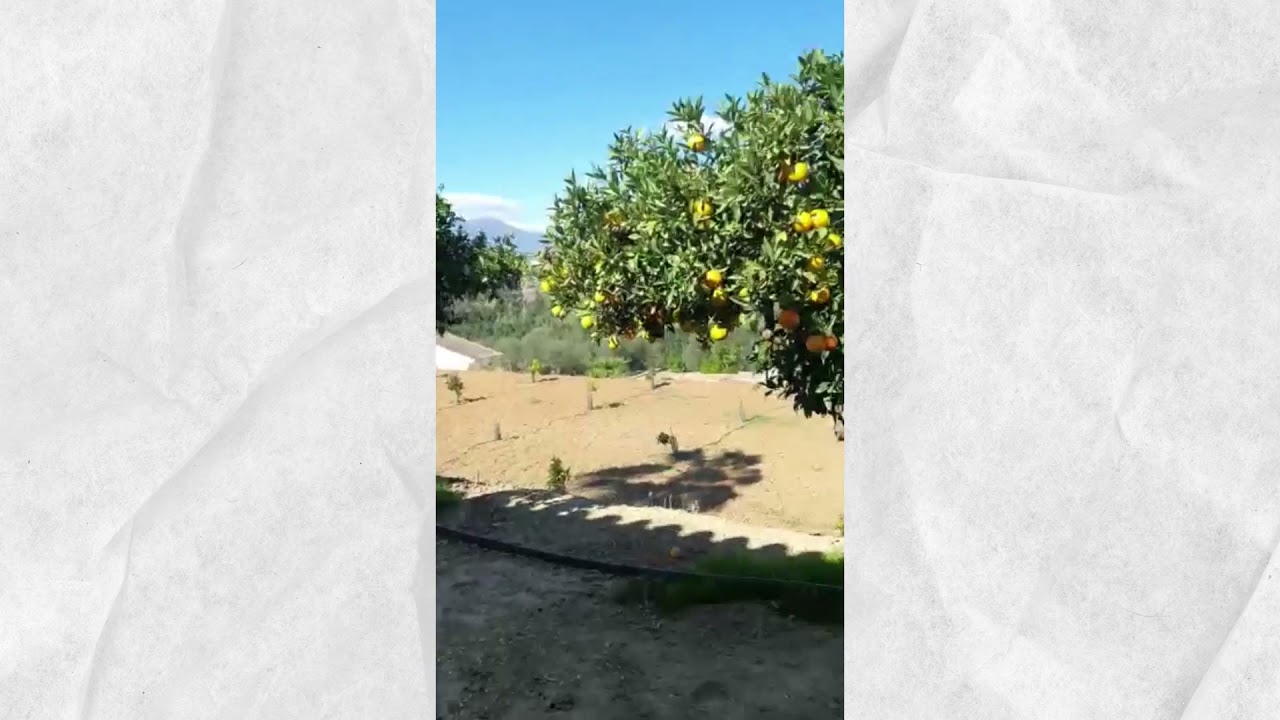 Propiedad F-0316 Novahomes