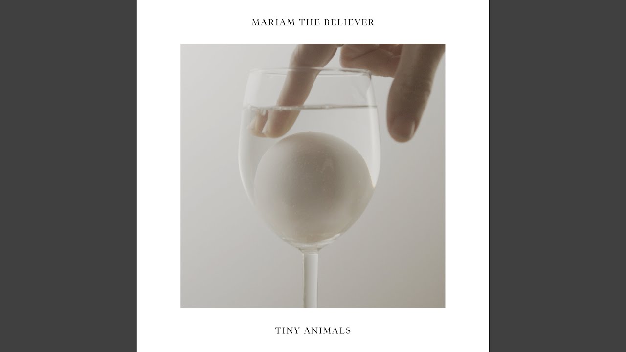 在 YouTube 上观看 Tiny Animals 在 YouTube 上观看 Tiny Animals