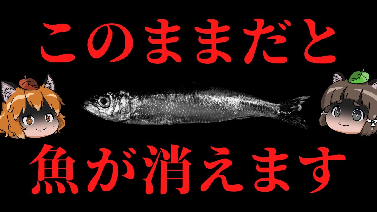 Urgent] Fish may seriously disappear from Japanese dining tables