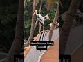 The Painted Stork #vulnerablespecies #speciesdiversity #speciesdistribution #habitatselection #bird