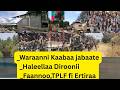 Guraandhala 12 2026 Waraanni Kaabaa Jabaate Sodaa Guddaa Uumeera Guraandhala 12 2026 Waraanni Kaabaa Jabaate Sodaa Guddaa Uumeera