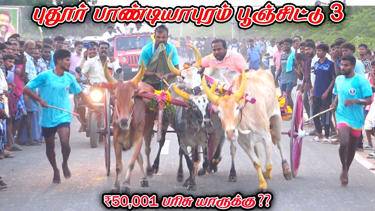 3புதூர்பாண்டியாபுரம்-பூஞ்சிட்டு-பந்தயம்_28.02.2026_V_Photography