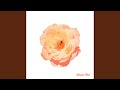 Romantic Flower 