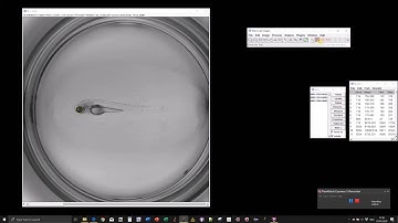 ImageJ/Fiji Roi 1-click tools