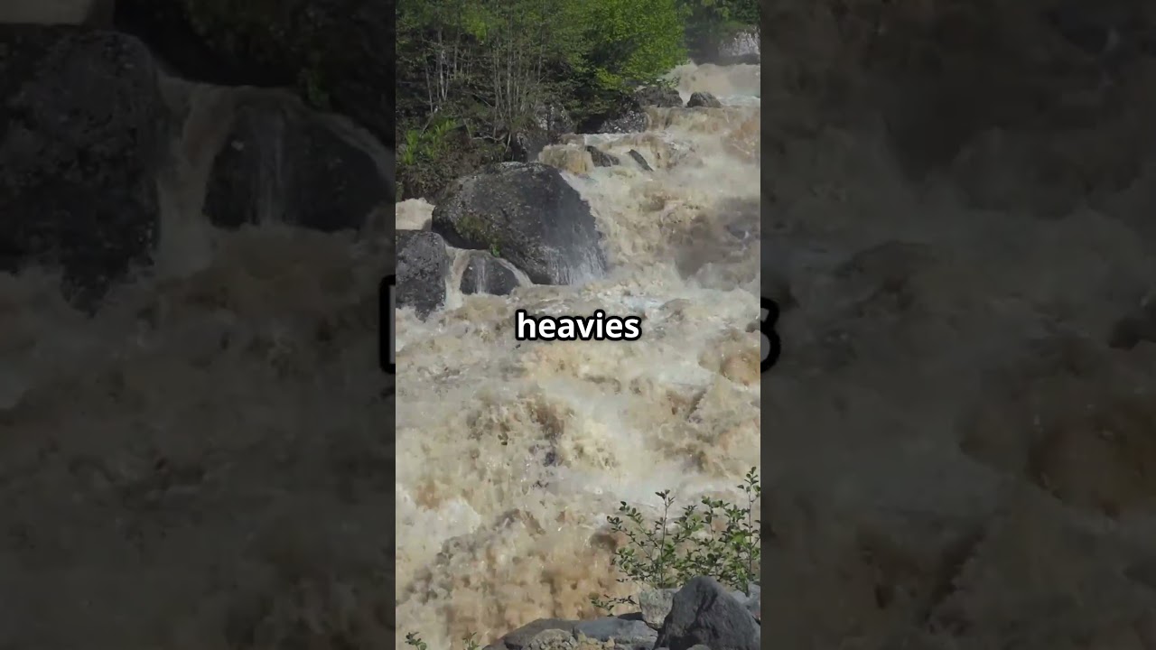 Monsoon Season Gold 101 (Module 4) 