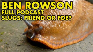 Slugs: Gardeners Enemy or Ecological Wonder ft Ben Rowson #146