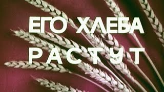 Его Хлеба растут (П.П. Лукьяненко), Ростовская киностудия,1973г.