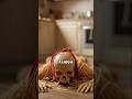 What if your bones were made of spaghetti? #curiosity#facts #shortvideo