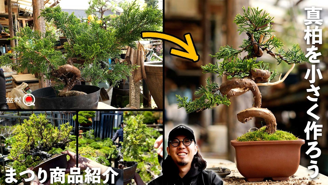 Introducing products from the Grand Bonsai Festival! How to make a