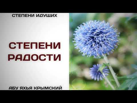 119. Степени радости || Абу Яхья Крымский
