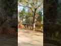Hum Bhatkte hai #shorts #trending #youtubeshorts