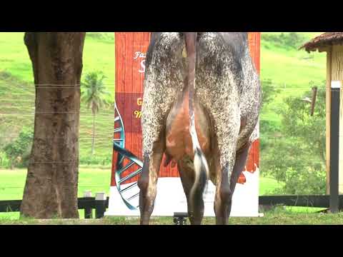 LOTE 50   SERRA DO LUAR