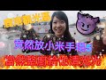 [小獅子樂園]鹿港觀光區!竟然放小米手環5!!!當然整廚給他清光光!!!(鹿港 小米手環5 清檯 娃娃機 選物販賣機  台湾 UFOキャッチャ)