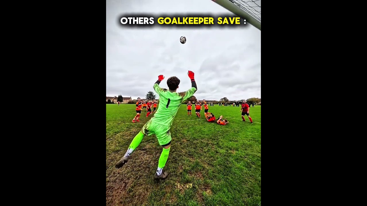 Others goalkeeper save Vs This One ☠️