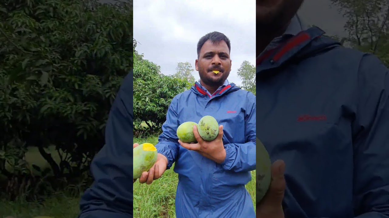 Mango 🥭 Resort Dhangadhi Kailali 