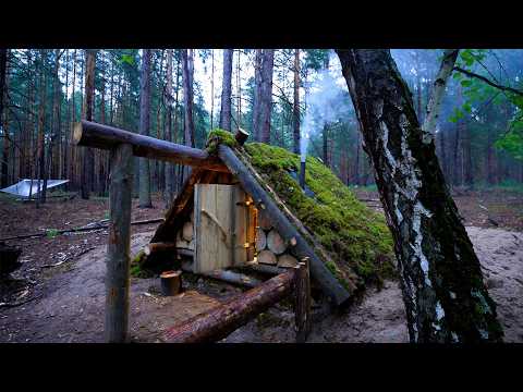 Uploads from Forest Paths