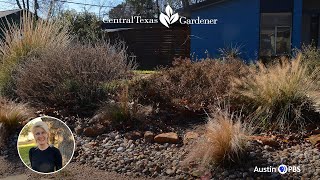 Winter Pruning: When and How | Central Texas Gardener