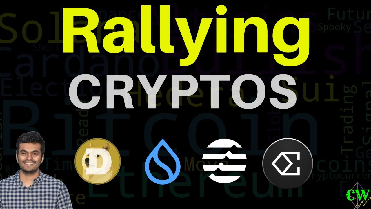 Crypto Rally:  Dogecoin, Sui, Aptos & More | Bitcoin Recovery! 🚀