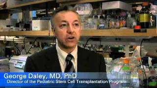 The Importance of Embryonic Stem Cells for Research