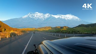 Scenic Driving in North Island, New Zealand | Country Roads, Farms, Woods | 4K