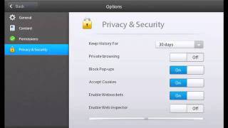BlackBerry PlayBook advanced browser options