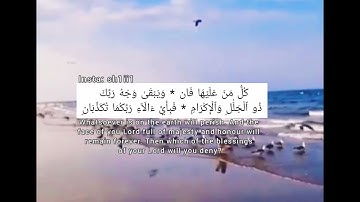 تلاوة هادئة من سورة الرحمن - كل من عليها فان - حالات واتس آب دينية  - قرآن - Quran