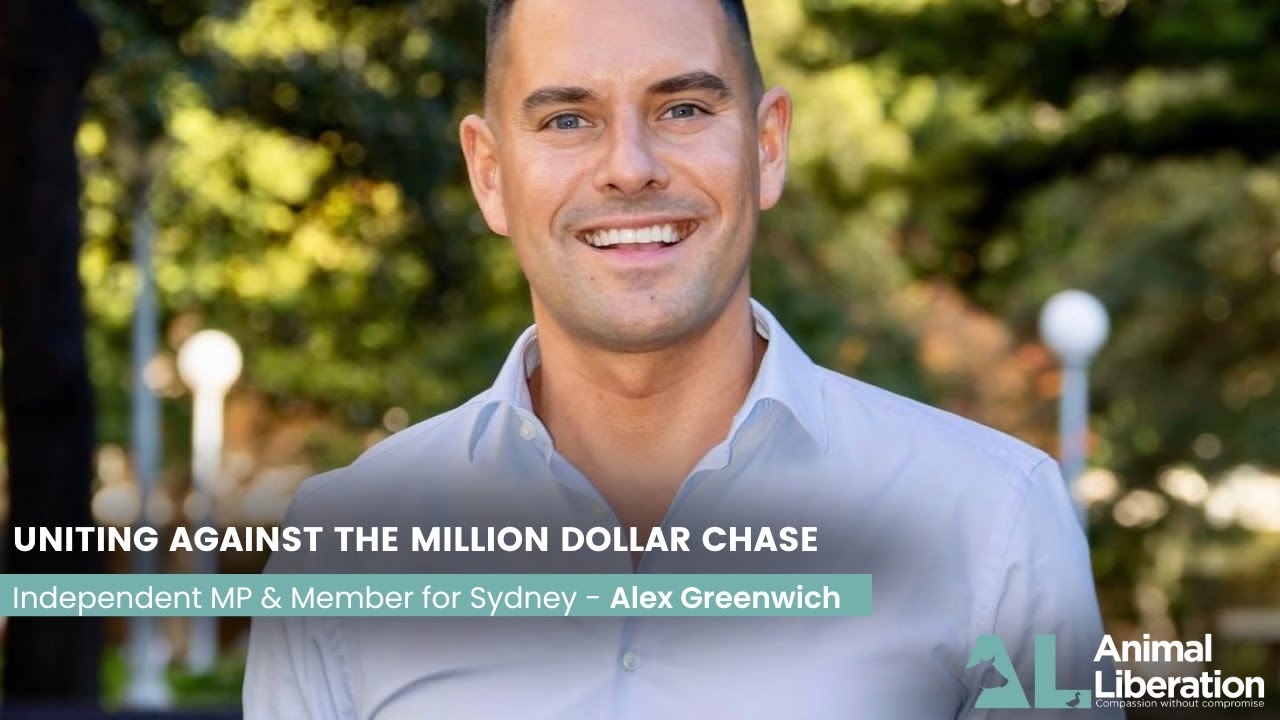 Uniting against the Million Dollar Chase - Alex Greenwich