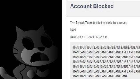 your scratch cat get: