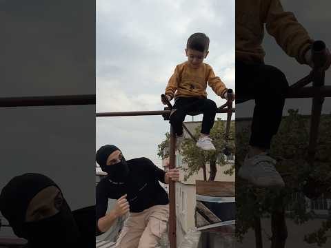 عصيان فوق بشجرة وطلب المساعدة