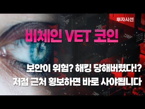   비체인 VET 코인ㅣ중국돈 들어온다 근데 보안이 위험 해킹 당해버렸다 저점 근처 횡보하면 바로 사야됩니다