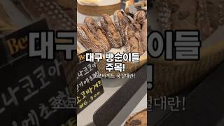 아방베이커리 동성로점 영상