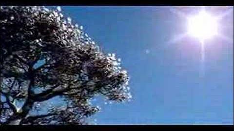 First Vue 6 Render. Tree on the hill