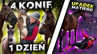 Mati Spadł Z Dili Mam Rudego I Dorcię