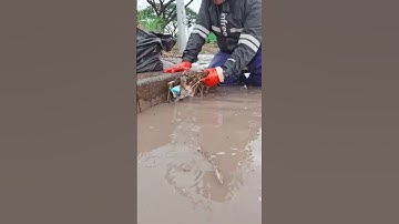 This sewer fix is ​​possible for the drain #unclog #clean #remove #shorts