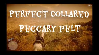 Red Dead Redemption Perfect Collared Peccary Pelt screenshot 4