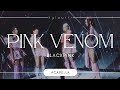 BLACKPINK Pink Venom Official Acapella 