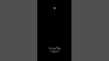 من سورة البقرة شاشة سوداء #عبدالرحمن_مسعد