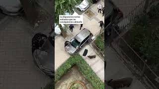 Un jabalí de 100 kilos provoca el pánico en Vallecas y termina siendo abatido