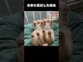 仕事に遅刻した理由