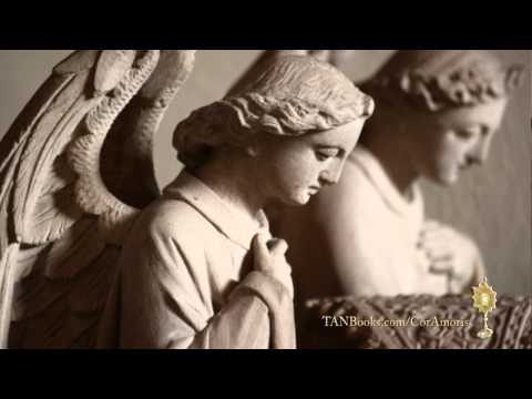 (7 Min. Version) Poor Clares & COR AMORIS: Funding...