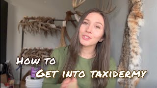 How to Get Into Taxidermy