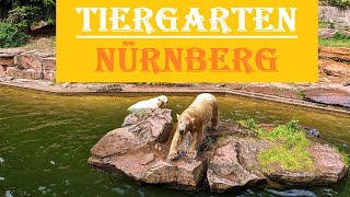 Зоопарки Германии. Нюрнберг | Tiergarten Nürnberg. Zoo Eindruck. Mai 2023